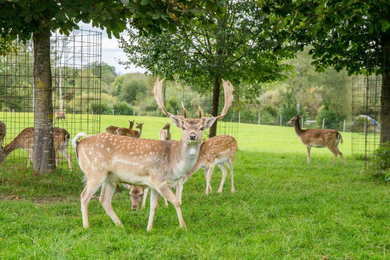 Hotel Hofgut Tiergarten Aulendorf Eksteriør billede