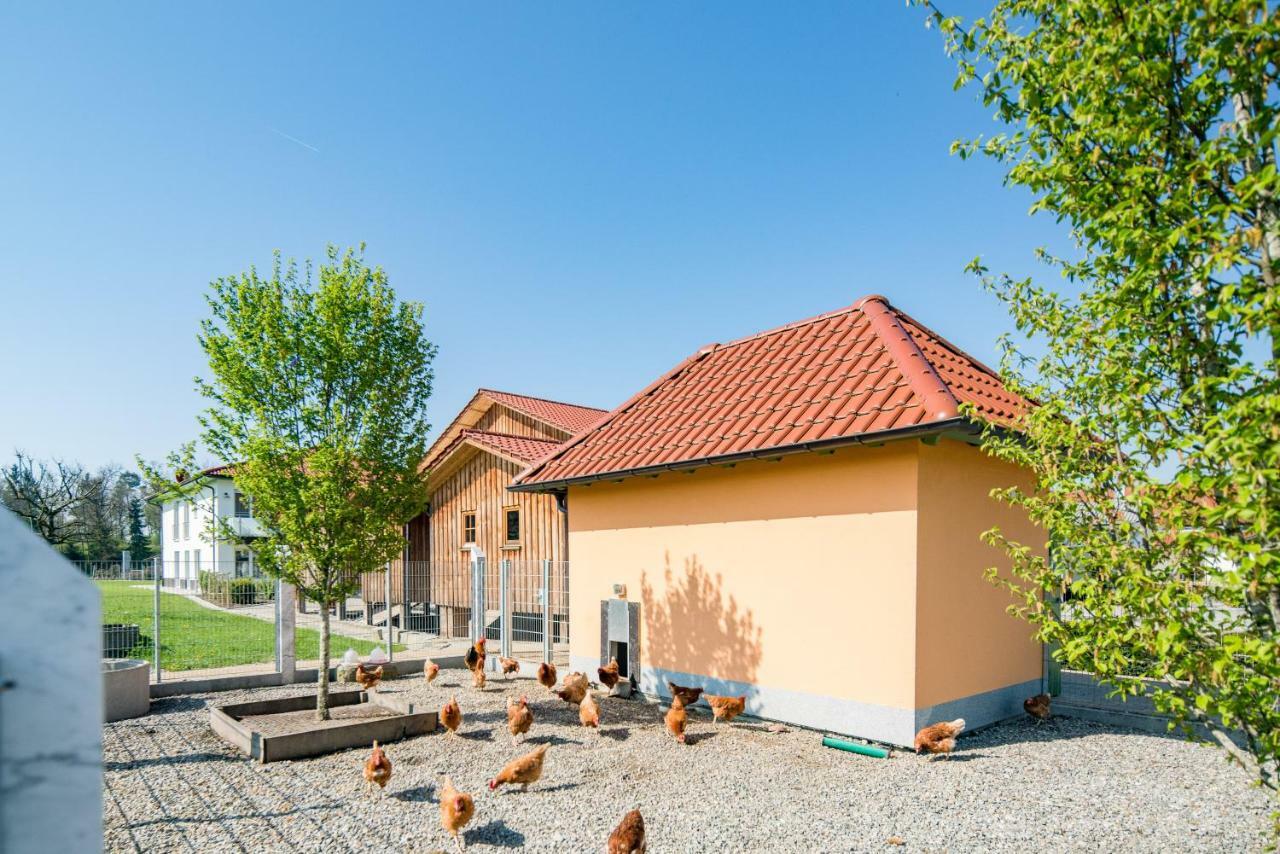 Hotel Hofgut Tiergarten Aulendorf Eksteriør billede